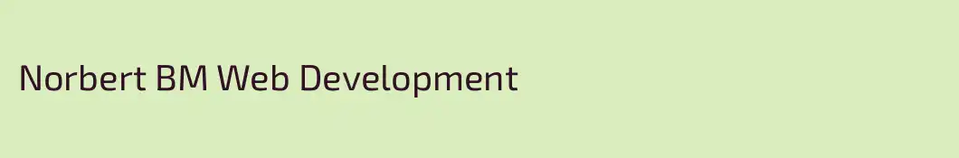 Norbert BM Web Development